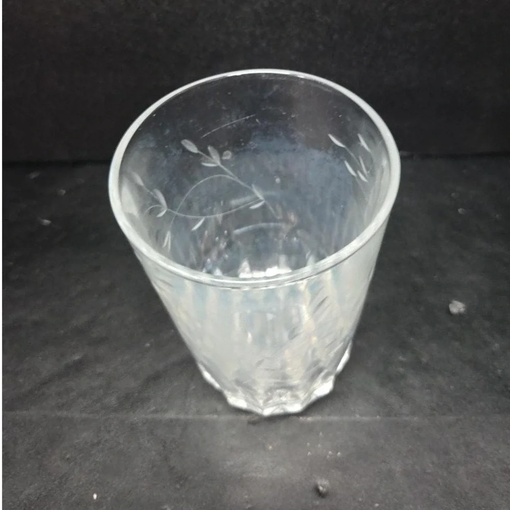 Princess House Heritage Tumbler, Vtg Etched Floral Glass, Replacement Drinkware‎